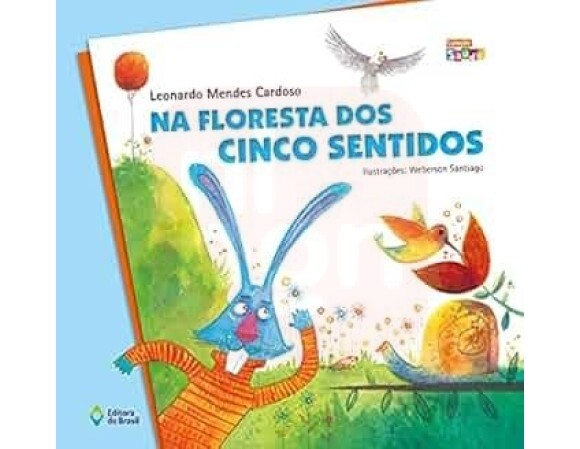 LIVRO NA FLORESTA DOS CINCO SENTIDOS 