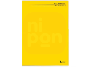 Caderno Caligrafia Brochura 96 Fls Capa Dura cores