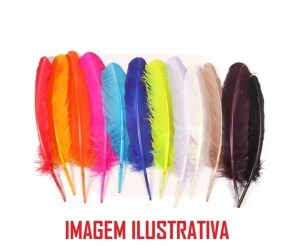 Penas Coloridas